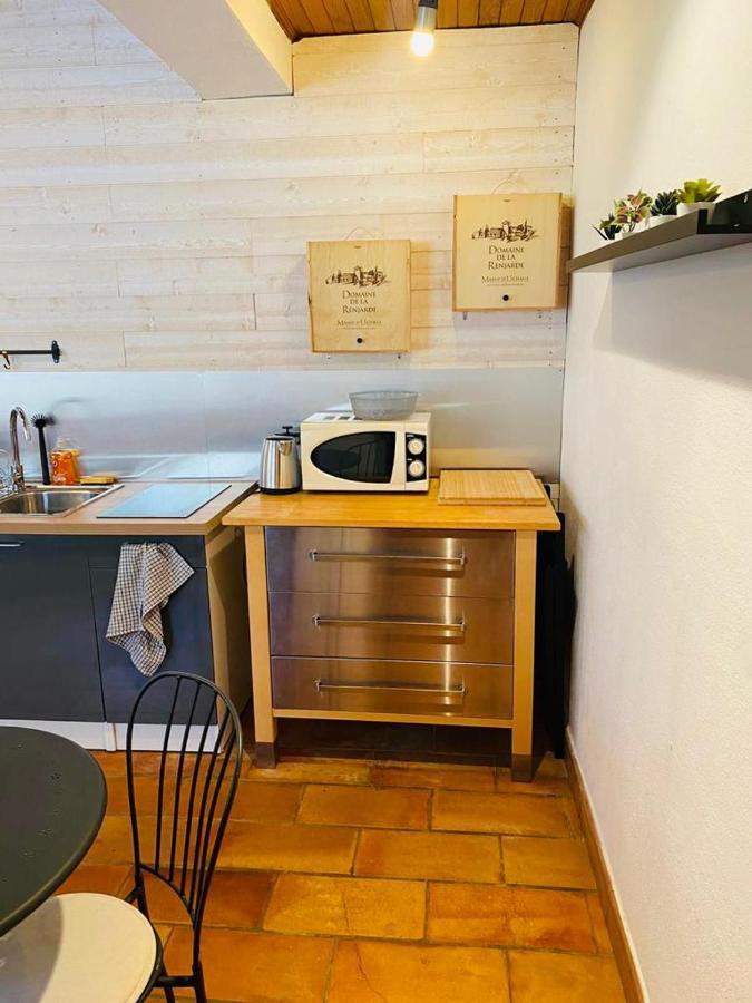 Studio Ile De La Barthelasse A Deux Pas Du Centre Avignon Kültér fotó