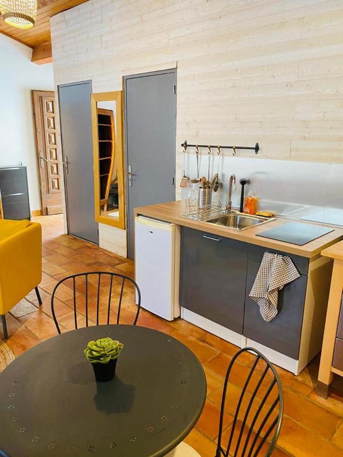 Studio Ile De La Barthelasse A Deux Pas Du Centre Avignon Kültér fotó
