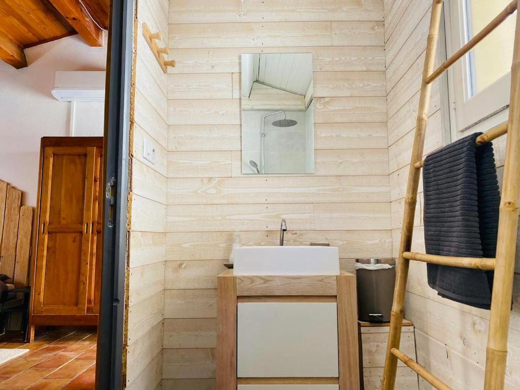 Studio Ile De La Barthelasse A Deux Pas Du Centre Avignon Kültér fotó